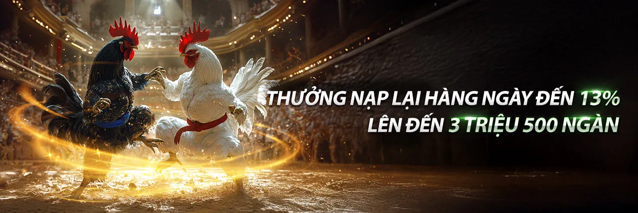 Hình ảnh chính về khuyến mãi 79kinh